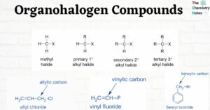 Organohalogen Compounds