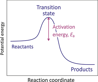 Energy pathway for an exothermic reaction