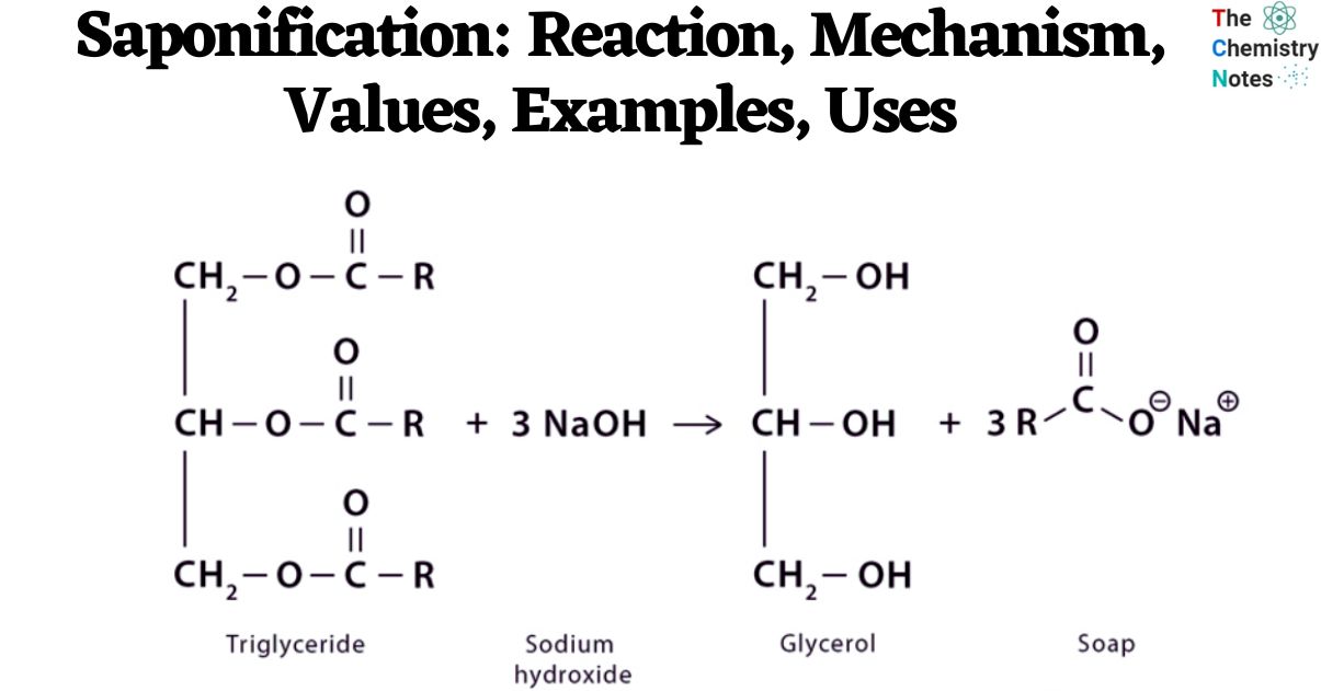 Saponification Reaction, Mechanism, Values, Examples, Uses