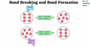 Bond Breaking and Bond Formation