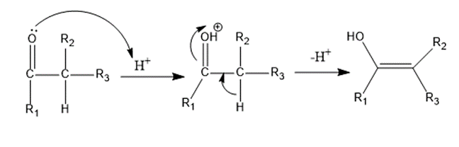 Formation of enol (Mannich Reaction)
