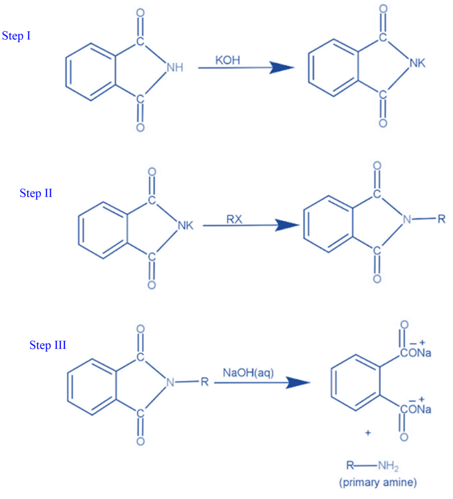 Mechanism of  Gabriel phthalimide synthesis