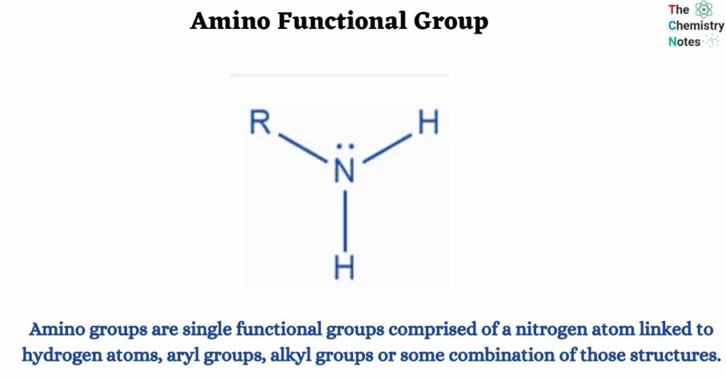Amino Functional Group