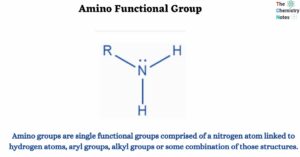 Amino Functional Group