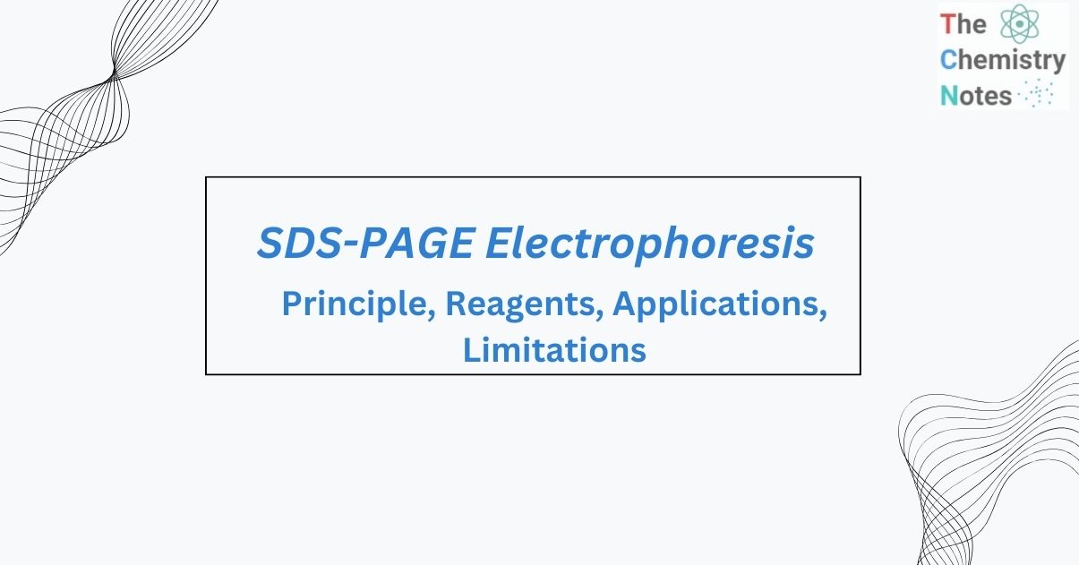 SDS-PAGE electrophoresis