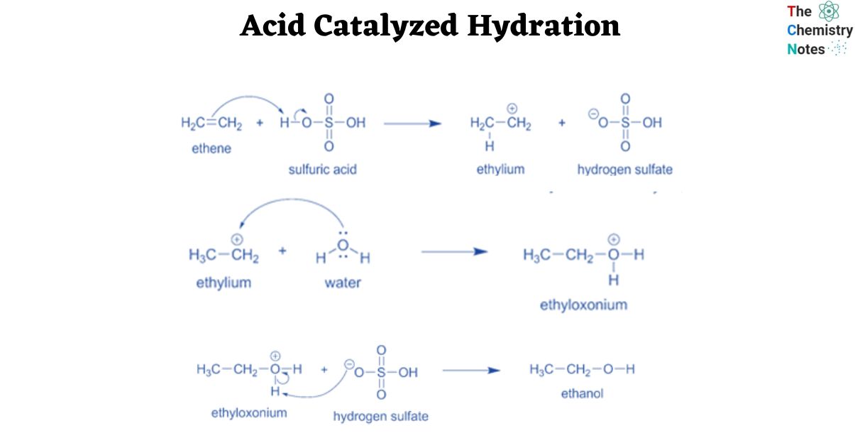 Acid Catalyzed Hydration