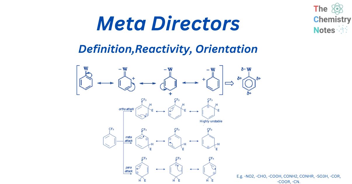 Meta directors